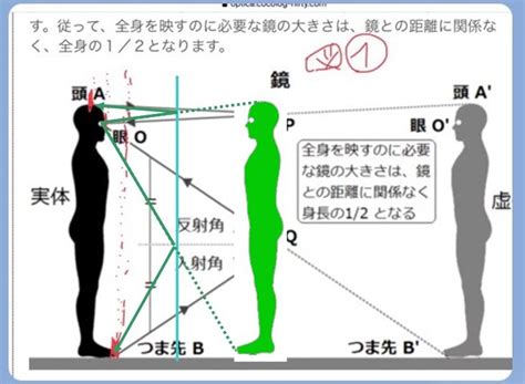 全身鏡位置|みんなが鏡を見るのはどんな時？鏡の置き場所事情